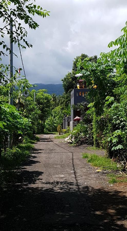 ホテル Mias Jungle House ロヴィーナ エクステリア 写真