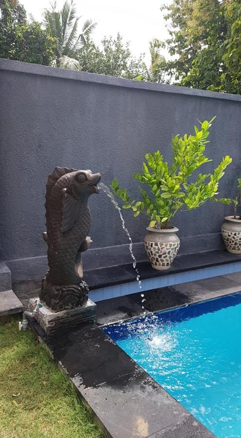 ホテル Mias Jungle House ロヴィーナ エクステリア 写真