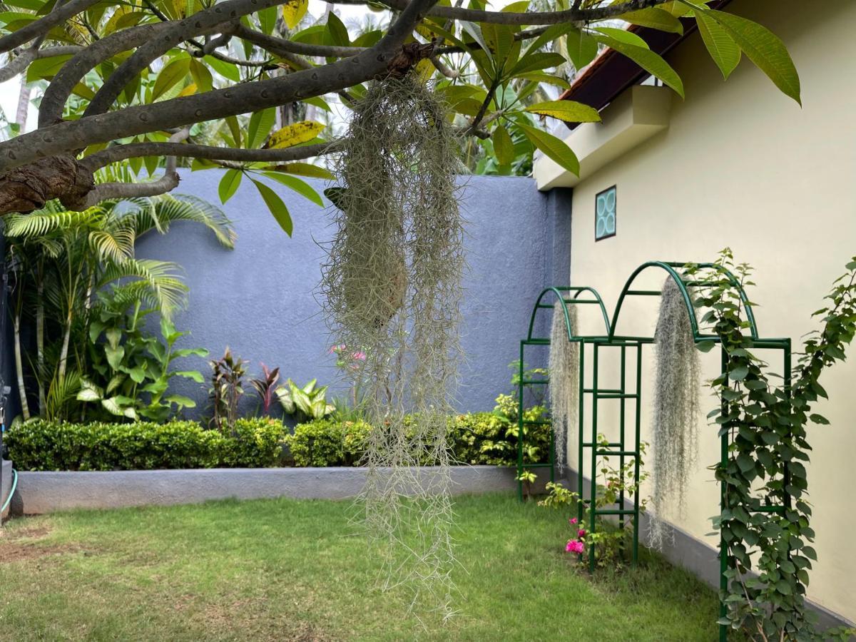 ホテル Mias Jungle House ロヴィーナ エクステリア 写真